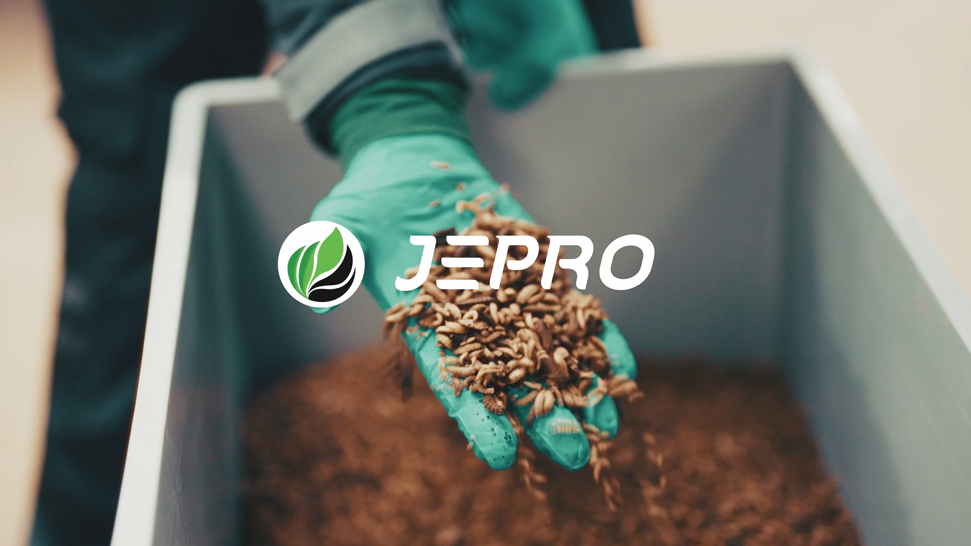 Jepro article image