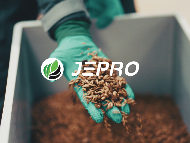Jepro article image